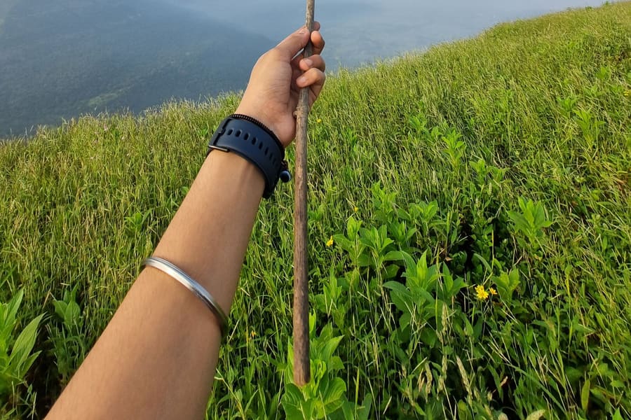 A walker's arm holding a wooden stick on the open grass slope at Ilaveezhapoonchira, with the valley falling away behind